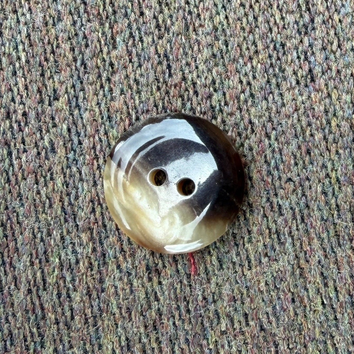 Casual Buffalo Horn Button